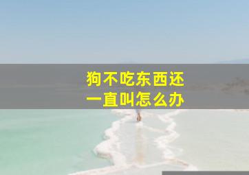 狗不吃东西还一直叫怎么办