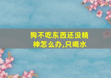 狗不吃东西还没精神怎么办,只喝水