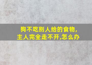 狗不吃别人给的食物,主人完全走不开,怎么办