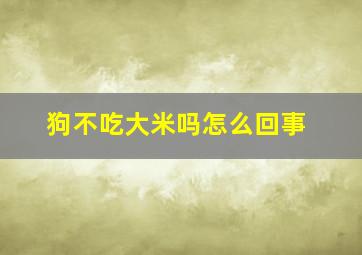 狗不吃大米吗怎么回事