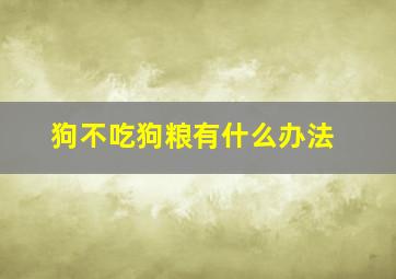 狗不吃狗粮有什么办法