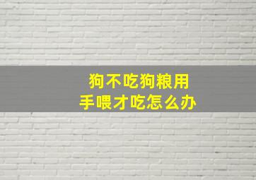 狗不吃狗粮用手喂才吃怎么办