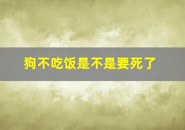 狗不吃饭是不是要死了