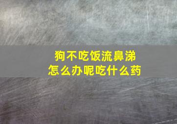 狗不吃饭流鼻涕怎么办呢吃什么药