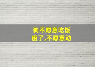 狗不愿意吃饭瘦了,不愿意动