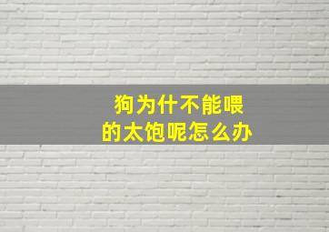 狗为什不能喂的太饱呢怎么办