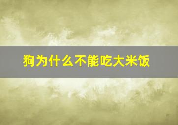 狗为什么不能吃大米饭