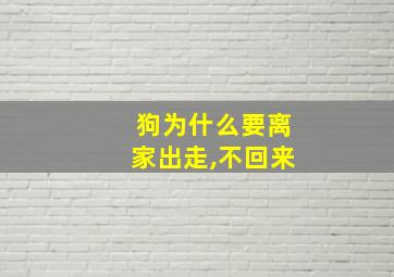 狗为什么要离家出走,不回来