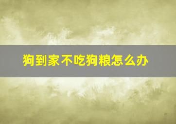 狗到家不吃狗粮怎么办