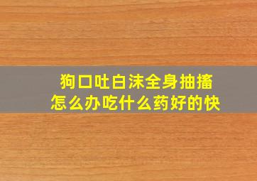 狗口吐白沫全身抽搐怎么办吃什么药好的快