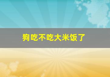 狗吃不吃大米饭了