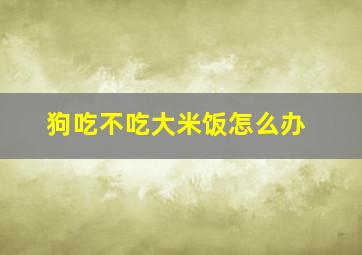 狗吃不吃大米饭怎么办