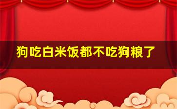 狗吃白米饭都不吃狗粮了