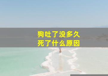 狗吐了没多久死了什么原因