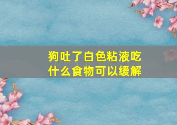 狗吐了白色粘液吃什么食物可以缓解