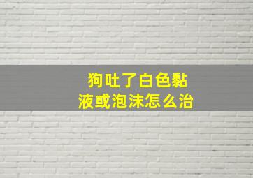 狗吐了白色黏液或泡沫怎么治