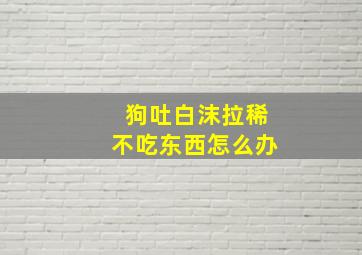 狗吐白沫拉稀不吃东西怎么办