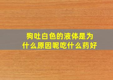 狗吐白色的液体是为什么原因呢吃什么药好