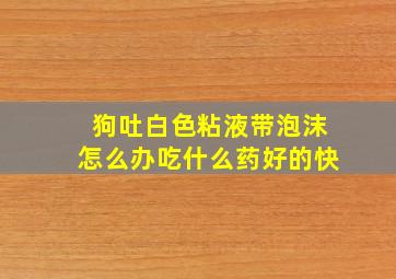 狗吐白色粘液带泡沫怎么办吃什么药好的快