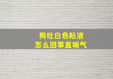 狗吐白色粘液怎么回事直喘气