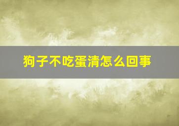 狗子不吃蛋清怎么回事