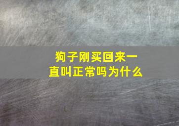 狗子刚买回来一直叫正常吗为什么