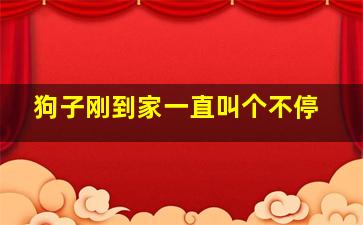 狗子刚到家一直叫个不停