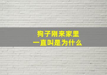 狗子刚来家里一直叫是为什么