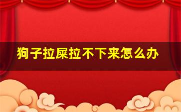 狗子拉屎拉不下来怎么办