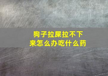 狗子拉屎拉不下来怎么办吃什么药