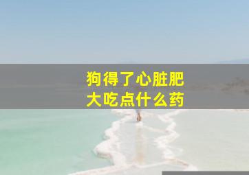 狗得了心脏肥大吃点什么药