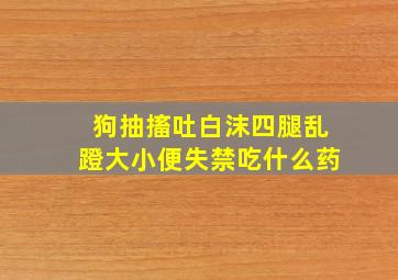 狗抽搐吐白沫四腿乱蹬大小便失禁吃什么药