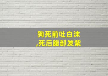 狗死前吐白沫,死后腹部发紫