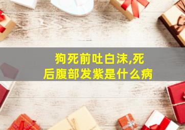 狗死前吐白沫,死后腹部发紫是什么病