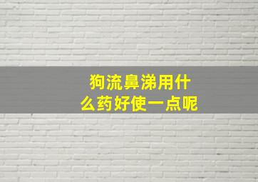 狗流鼻涕用什么药好使一点呢