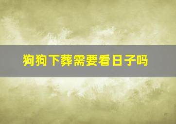 狗狗下葬需要看日子吗