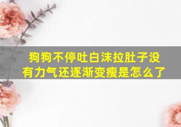 狗狗不停吐白沫拉肚子没有力气还逐渐变瘦是怎么了