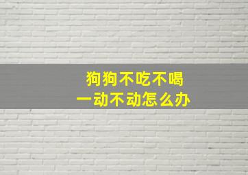 狗狗不吃不喝一动不动怎么办