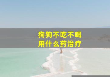 狗狗不吃不喝用什么药治疗