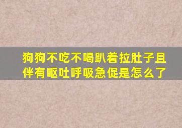 狗狗不吃不喝趴着拉肚子且伴有呕吐呼吸急促是怎么了