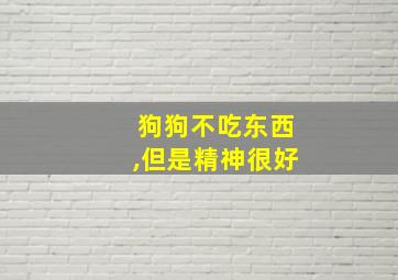 狗狗不吃东西,但是精神很好