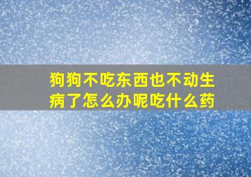 狗狗不吃东西也不动生病了怎么办呢吃什么药