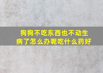 狗狗不吃东西也不动生病了怎么办呢吃什么药好