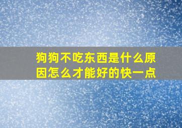 狗狗不吃东西是什么原因怎么才能好的快一点