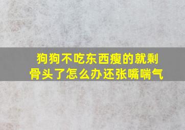 狗狗不吃东西瘦的就剩骨头了怎么办还张嘴喘气