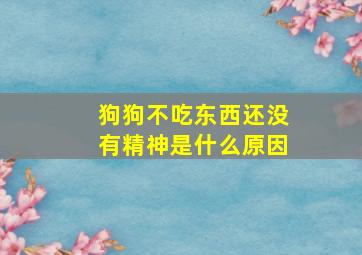 狗狗不吃东西还没有精神是什么原因