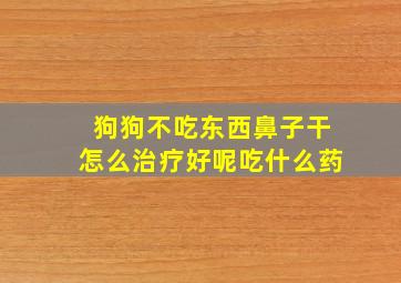 狗狗不吃东西鼻子干怎么治疗好呢吃什么药