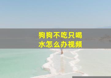 狗狗不吃只喝水怎么办视频