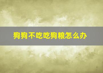 狗狗不吃吃狗粮怎么办