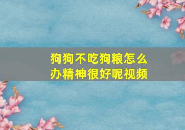 狗狗不吃狗粮怎么办精神很好呢视频